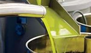 olive oil2.jpg